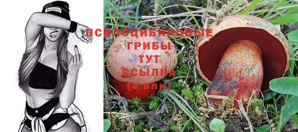 альфа пвп Лиски