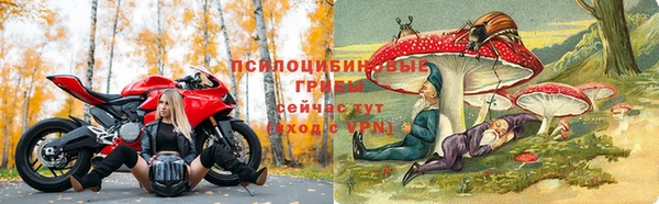 герыч Липки