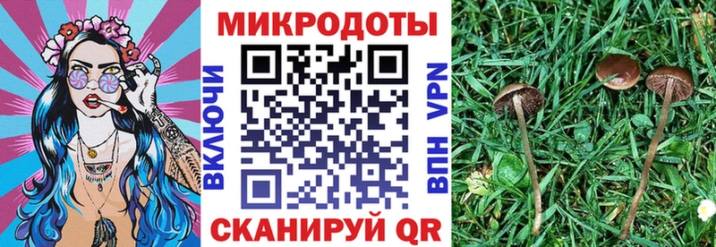 блэк спрут онион  Полтавская  маркетплейс состав  Псилоцибиновые грибы GOLDEN TEACHER 